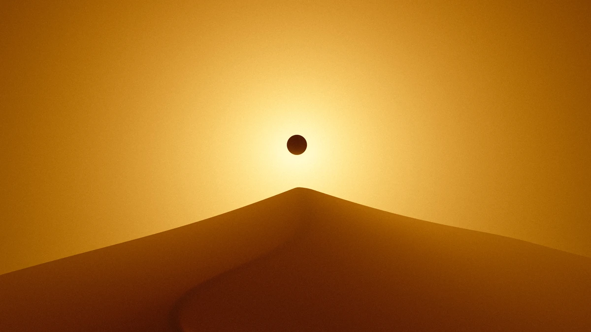 Why Being Just a Wrapper Made All the Difference